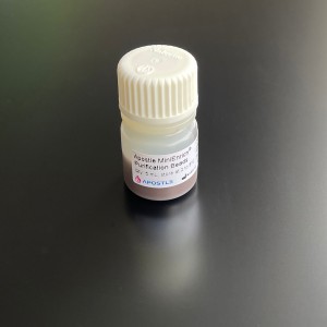Apostle MiniEnrich Carboxyl Beads for Purification (5mL) (AMPure XP alternative)