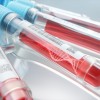 cfDNA / cfRNA 分离实验室服务