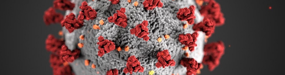 病毒 RNA/DNA 分离自动化系统