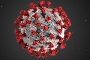 病毒 RNA/DNA 分离自动化系统