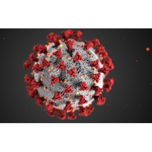 Apostle MiniGenomics Viral Total NA Isolation Kit (384 preps)